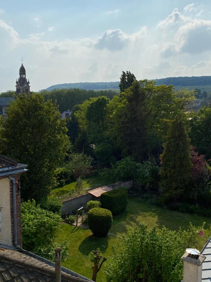 L'Elegant: 80M2 Vue Sur Vignoble Au Centre D'Epernay!! Apartment Bagian luar foto